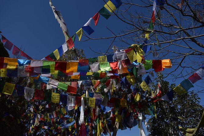Namo Buddha and Thrangu Tashi Yangtse Monastery Half-Day Tour - Price, timing, and what $104 gets you (and what it doesn’t)