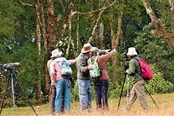 Nepal Birding - Your bird guide in action: Bishnu Thapa, Krishna, Raju, Prem Thapa, Santa