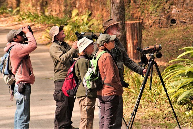 Nepal Birding - Who should book this Kathmandu birding hike