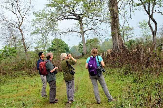 Nepal Birding - Should you book Nepal Birding?