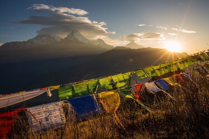 Nepal Cultural Highlights Tour in 10 Days - Chitwan National Park: travel comfort plus wildlife time