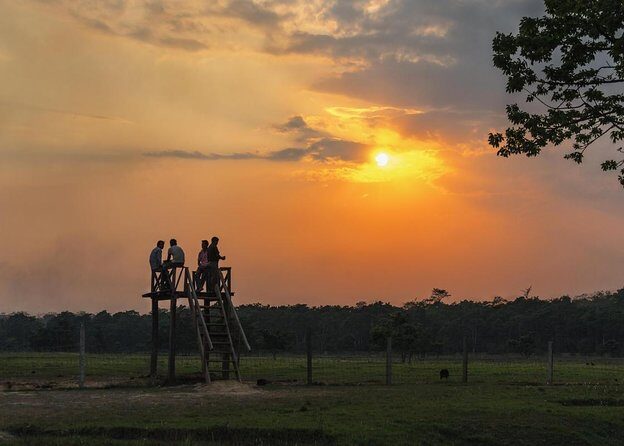 Nepal in Luxury: Kathmandu, Chitwan & Pokhara Escape – 8 Days - Key highlights you’ll care about