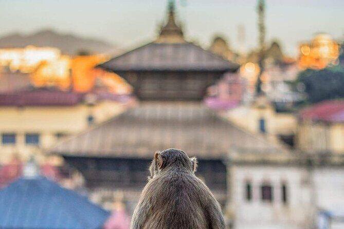 PashupatiNath and BoudhaNath - Private/Small Group - Guhyeshwari to Boudhanath: the Shaktipeeth story lands you at Tibetan Vajrayana