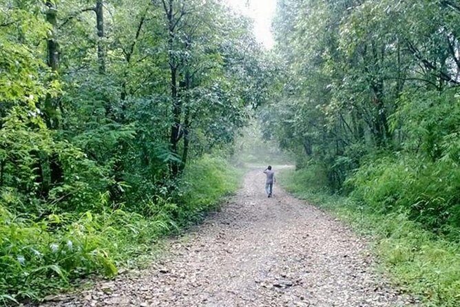 Phulchoki bird-watching tour - Dawn pickup and the drive to Godawari (Naudhara entry point)