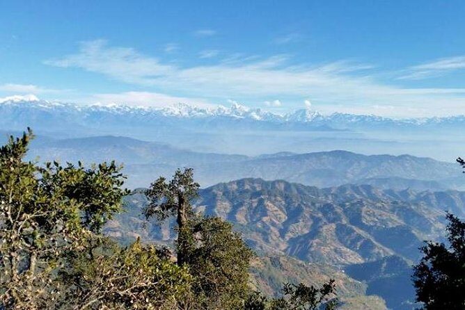 Phulchoki bird-watching tour - The guides make the difference: spotting skill and conservation care