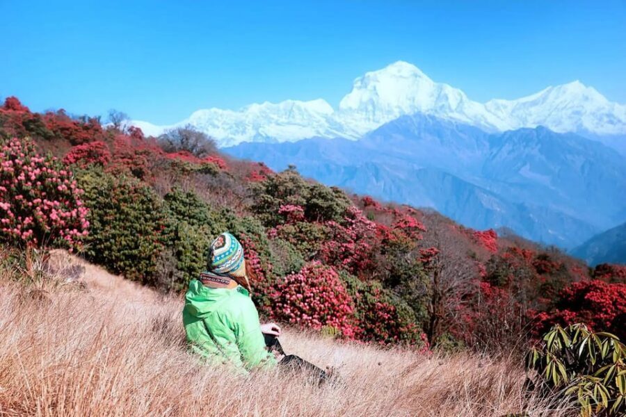 Pokhara: 2 Day Ghorepani & Poon Hill Private Trekking - Pokhara to Tikhedhunga/Ulleri: the ride that sets the tone