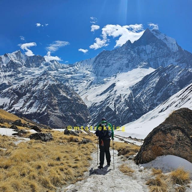 Pokhara: 5-Day Annapurna Base Camp (ABC) Trek - Day 5: Bamboo Back to Jhinu Hot Springs and Then Pokhara