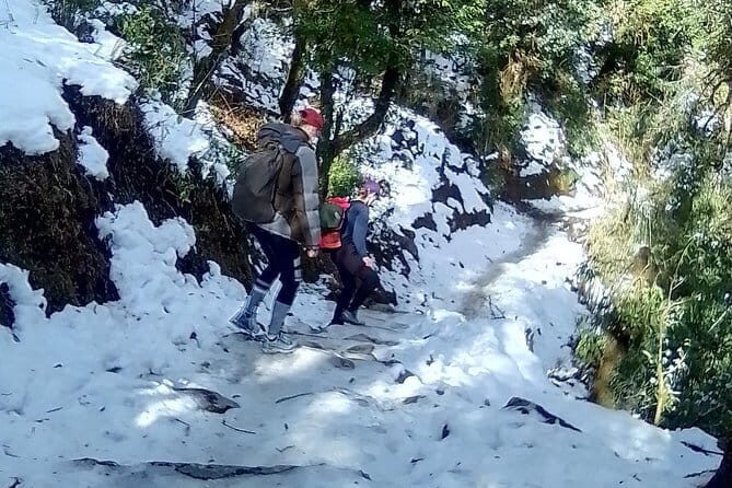 Poon Hill Trek package - Poon Hill sunrise plus Ghandruk: two different kinds of wow