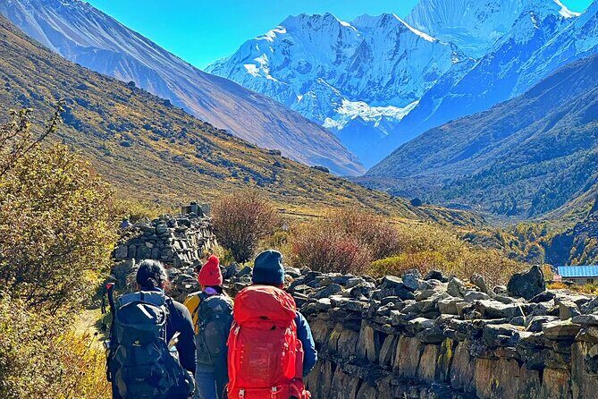 Private 8 - Day Langtang Trekking - Day 6: retracing back toward Lama Hotel through rhododendron