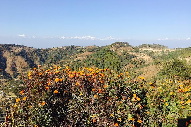 Private Day Tour - Sacred Journey to Namo Buddha - Making the most of a spiritual site, without overthinking it