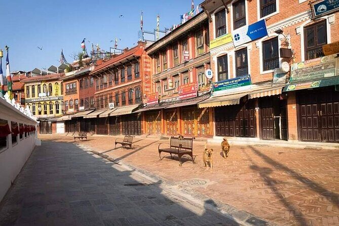 Private Tour of 4 UNESCO Heritage Sites in Kathmandu by Car - Stop 3: Pashupatinath Temple and the Big-Name Hindu Center for Lord Shiva