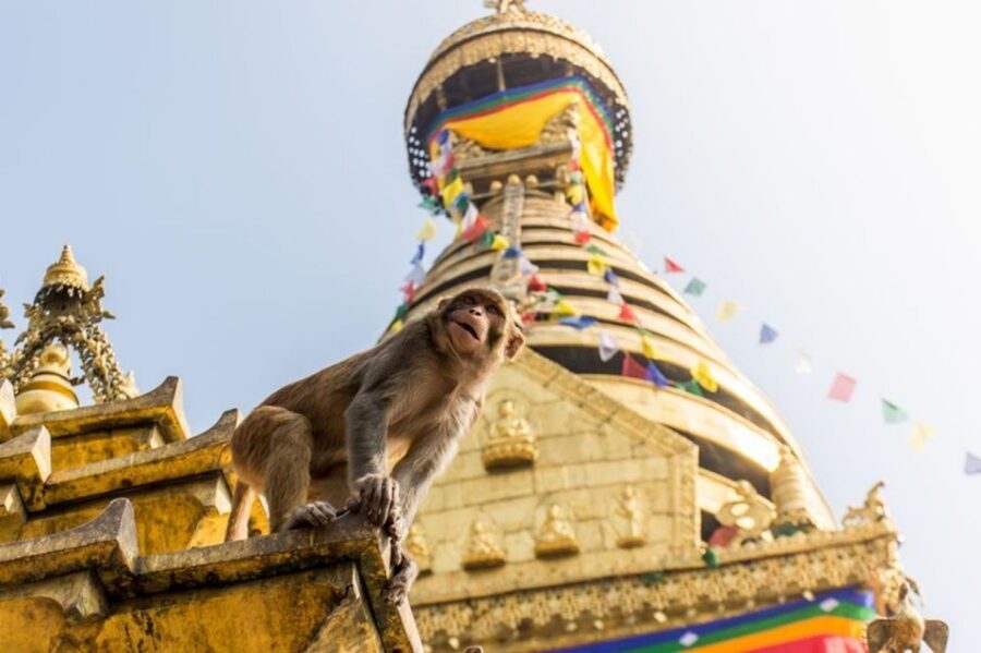 Spiritual Nepal: Expert insight into Multifaith Journey - Price and value: is $150 fair for 4 hours?