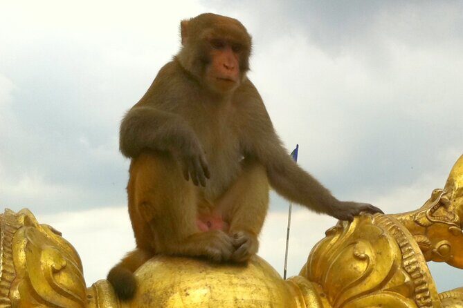 TOP 4 UNESCO World Heritage Sites Tour - Dress code and the Pashupatinath rule: plan this part early